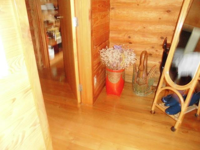 Log Cottage Villa Happo Hakuba Exterior foto